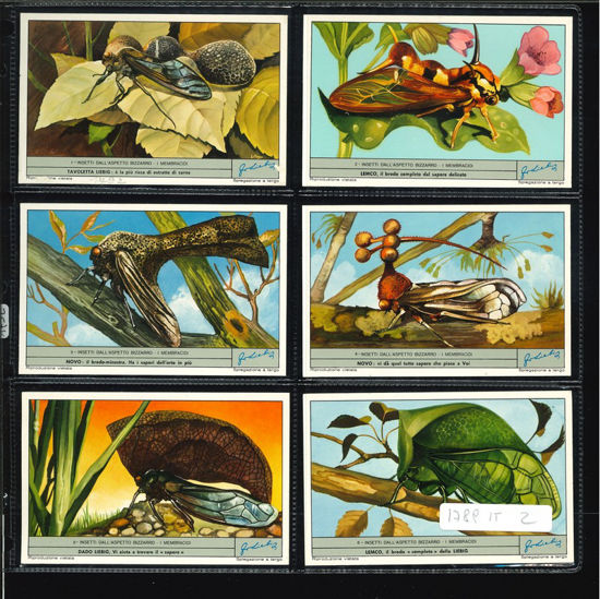 Immagine di 1792 - INSETTI DALL'ASPETTO BIZZARRO-ITALIANA