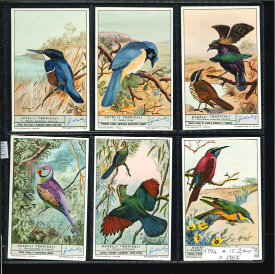 Immagine di 1797 - UCCELLI TROPICALI-ITALIANA
