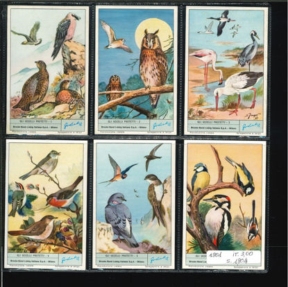 Immagine di 1804 - GLI UCCELLI PROTETTI-ITALIANA