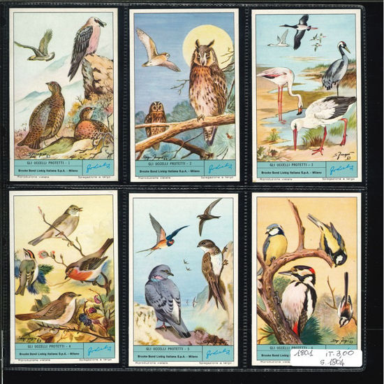 Immagine di 1804 - GLI UCCELLI PROTETTI-ITALIANA