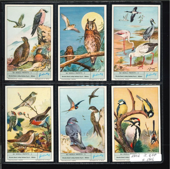 Immagine di 1804 - GLI UCCELLI PROTETTI-ITALIANA