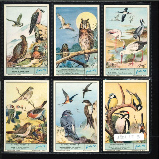 Immagine di 1804 - GLI UCCELLI PROTETTI-ITALIANA