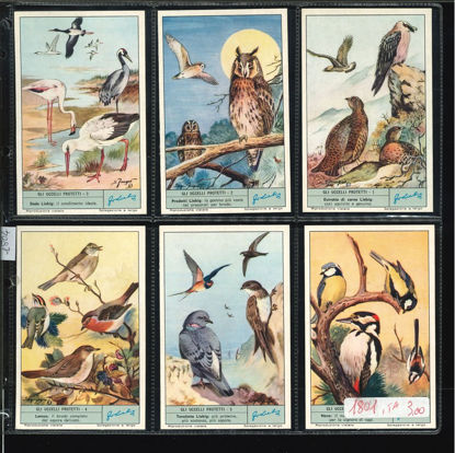 Immagine di 1804 - GLI UCCELLI PROTETTI-ITALIANA