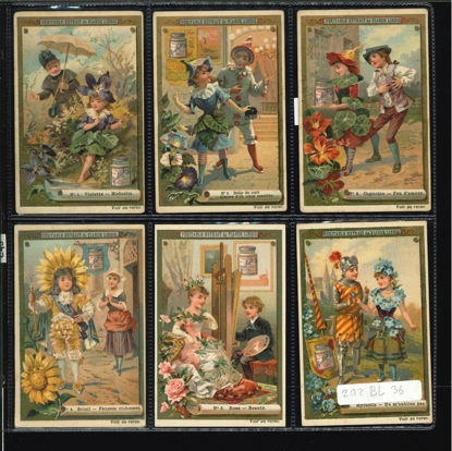 Immagine di 243 - LINGUAGGIO DEI FIORI 1°-BELGA