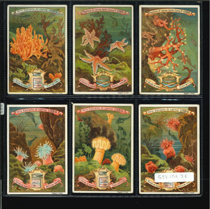 Immagine di 595 - IN FONDO AL MARE-ITALIANA