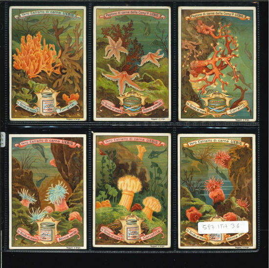 Immagine di 595 - IN FONDO AL MARE-ITALIANA