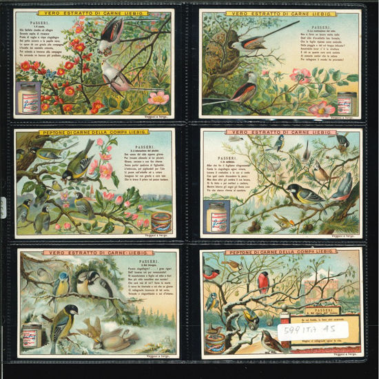 Immagine di 598 - PASSERI-ITALIANA