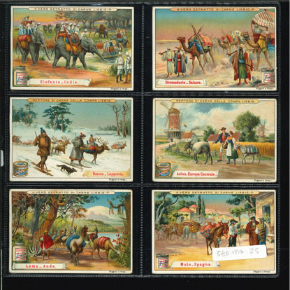 Immagine di 602 - QUADRUPEDI DA SOMA-ITALIANA