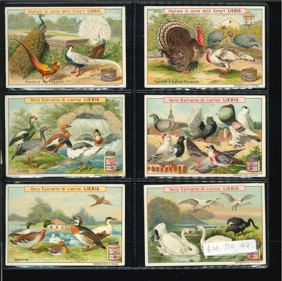 Immagine di 607 - UCCELLI DA CORTILE-ITALIANA