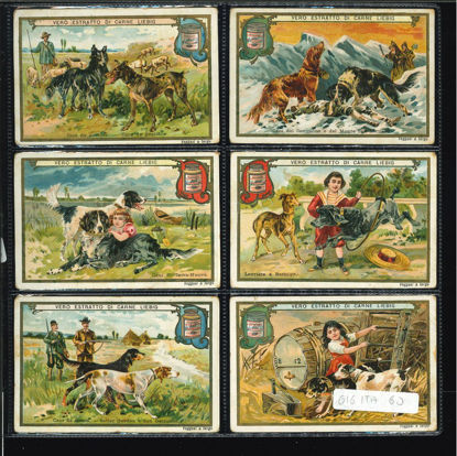 Immagine di 615 - CANI 1°-ITALIANA