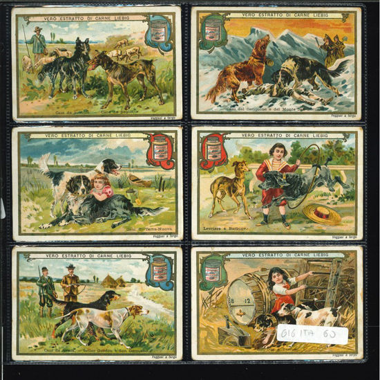 Immagine di 615 - CANI 1°-ITALIANA