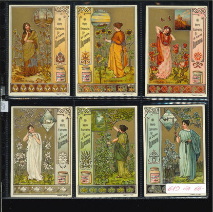 Immagine di 618 - COLORI 2° (ragazze)-ITALIANA