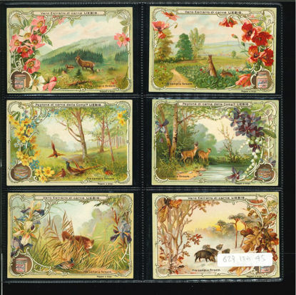 Immagine di 627 - FRA CAMPI E FORESTE-ITALIANA