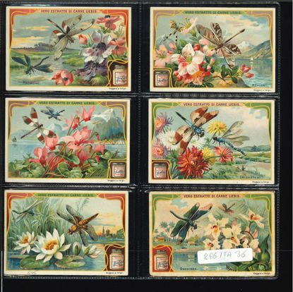 Immagine di 896 - FIORI E LIBELLULE-ITALIANA