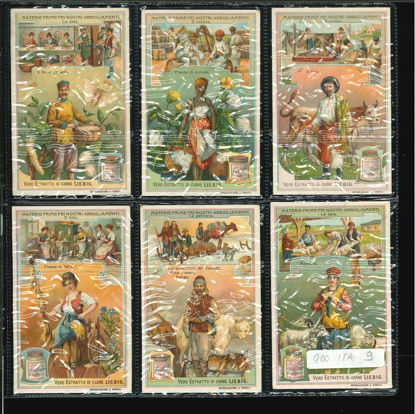 Immagine di 900 - MATERIE PRIME NOSTRI ABBIGLIAMENTI-ITALIANA