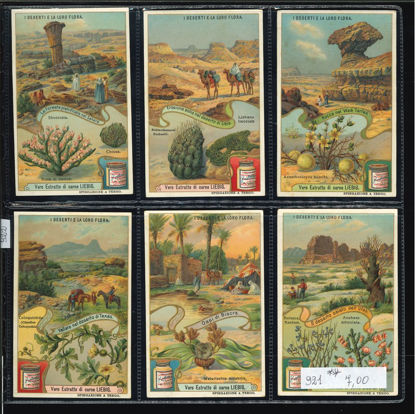 Immagine di 922 - I DESERTI E LA LORO FLORA-ITALIANA