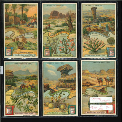 Immagine di 922 - "I DESERTI E LA LORO FLORA (firma "Voit")-ITALIANA"