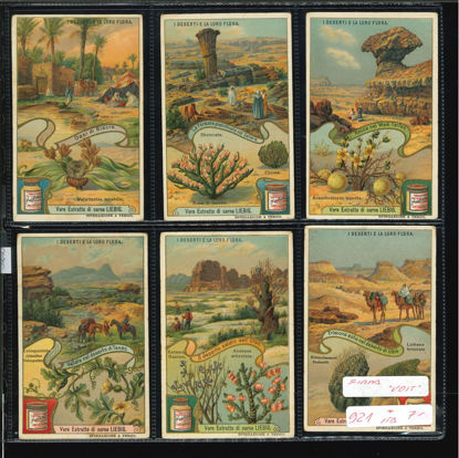 Immagine di 922 - "I DESERTI E LA LORO FLORA (firma "Voit")-ITALIANA"