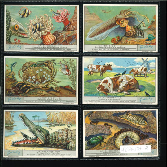Immagine di 1283 - LA SIMBIOSI-ITALIANA