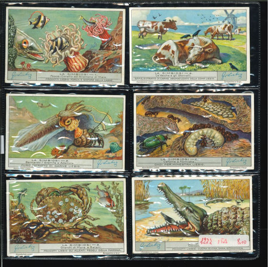 Immagine di 1283 - LA SIMBIOSI-ITALIANA