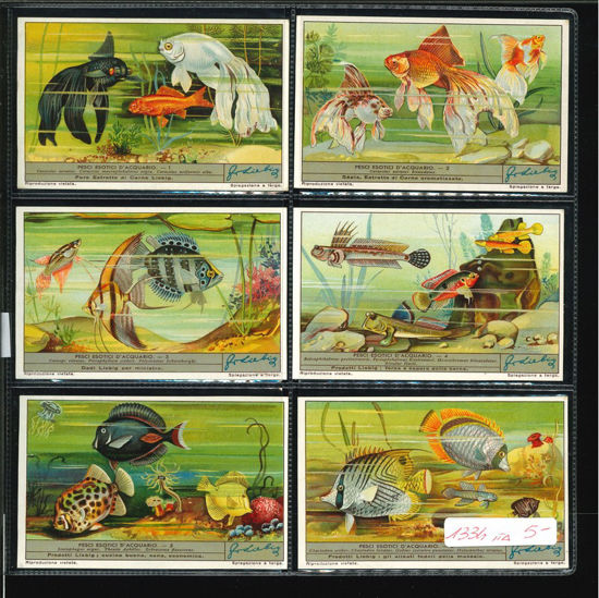 Immagine di 1339 - PESCI ESOTICI D'ACQUARIO-ITALIANA