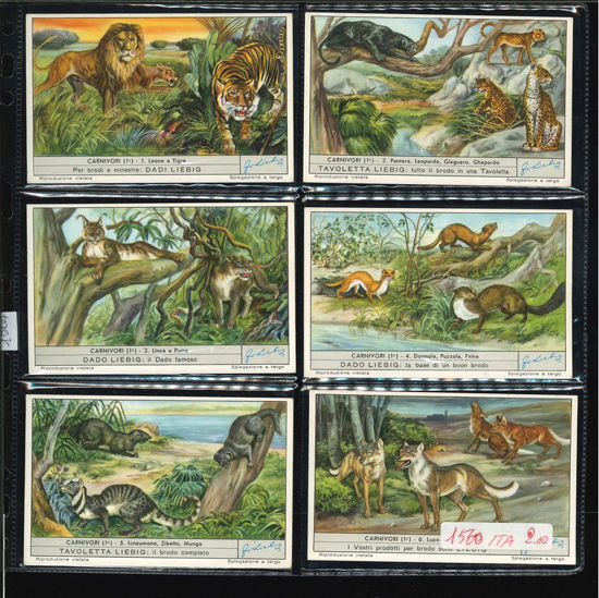 Immagine di 1564 - CARNIVORI (1°)-ITALIANA