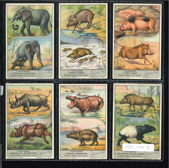 Immagine di 1572 - I PACHIDERMI-ITALIANA