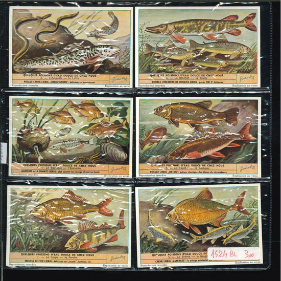 Immagine di 1573 - I PESCI D'ACQUA DOLCE-BELGA