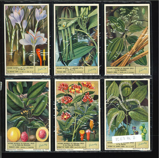 Immagine di 1577 - STORIE NATURALI DELLE SPEZIE-BELGA