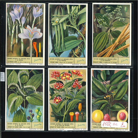 Immagine di 1577 - STORIE NATURALI DELLE SPEZIE-BELGA