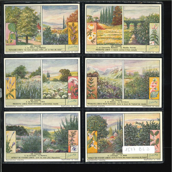 Immagine di 1579 - LE TISANE - Les tisanes-BELGA