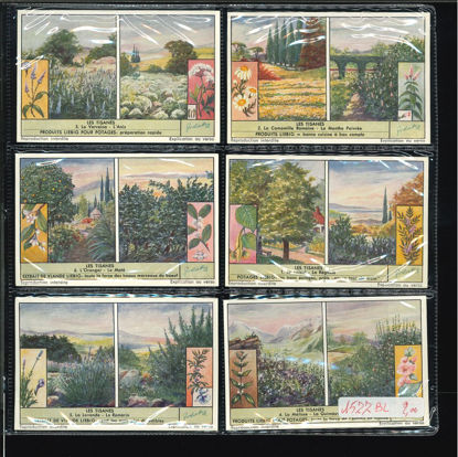 Immagine di 1579 - LE TISANE - Les tisanes-BELGA