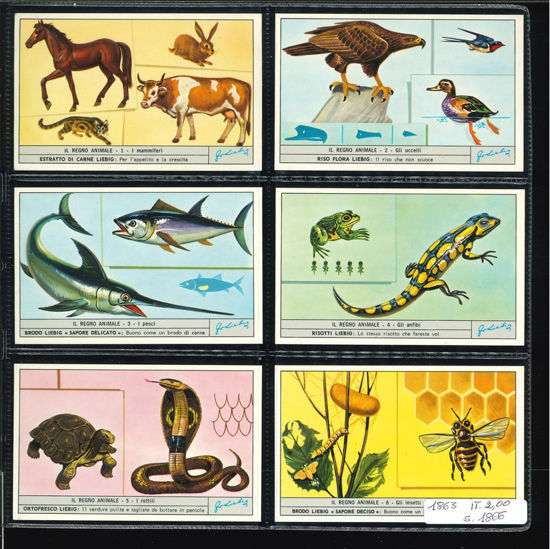 Immagine di 1866 - IL REGNO ANIMALE-ITALIANA