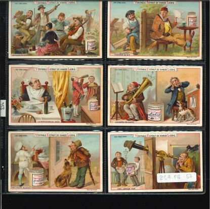 Immagine di 254 - I CINQUE SENSI 1° - Les cinq sens 1°-FRANCESE