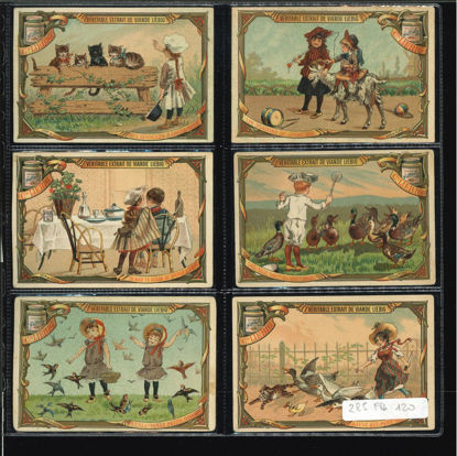 Immagine di 264 - SCENE DI FANCIULLI 6°-FRANCESE