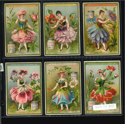 Immagine di 268 - FIORI E DONNE 3°-INGLESE