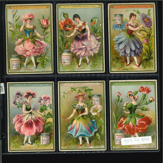 Immagine di 268 - FIORI E DONNE 3°-INGLESE