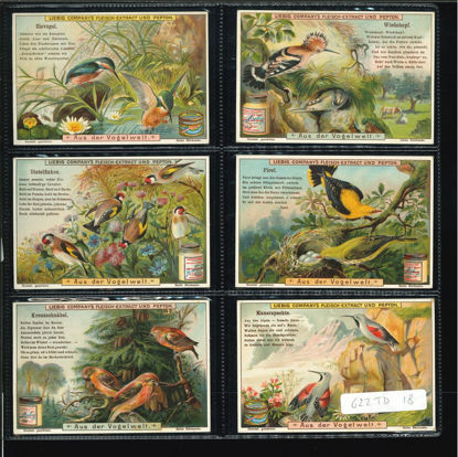Immagine di 651 - NEL MONDO DEGLI UCCELLI - -TEDESCA
