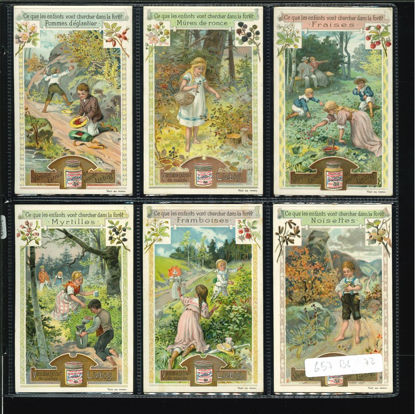 Immagine di 664 - COSA CERCANO I BAMBINI NEL BOSCO-BELGA