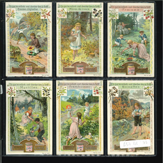 Immagine di 664 - COSA CERCANO I BAMBINI NEL BOSCO-BELGA