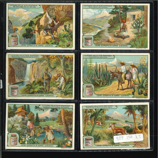 Immagine di 930 - LA FLORA NELLE ALTE MONTAGNE-ITALIANA