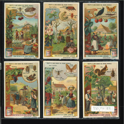 Immagine di 931 - FRUTTI E NEMICI DEL REGNO ANIMALE-ITALIANA