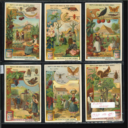 Immagine di 931 - FRUTTI E NEMICI DEL REGNO ANIMALE (firme miste)-ITALIANA