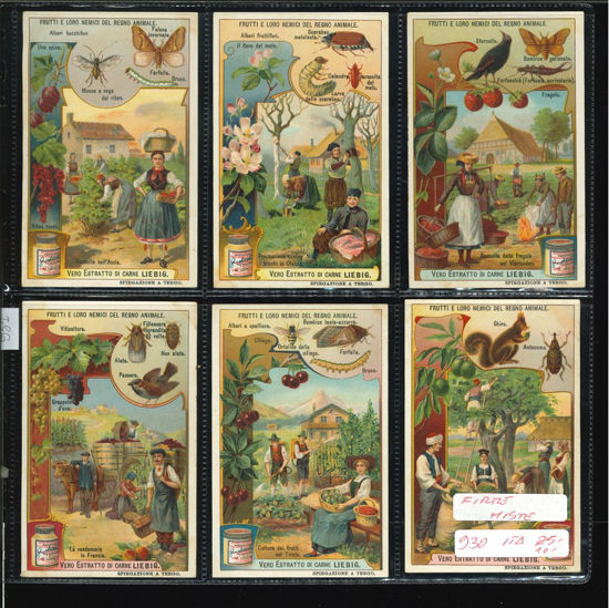 Immagine di 931 - FRUTTI E NEMICI DEL REGNO ANIMALE (firme miste)-ITALIANA