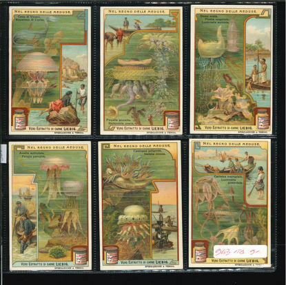 Immagine di 938 - NEL REGNO DELLE MEDUSE-ITALIANA