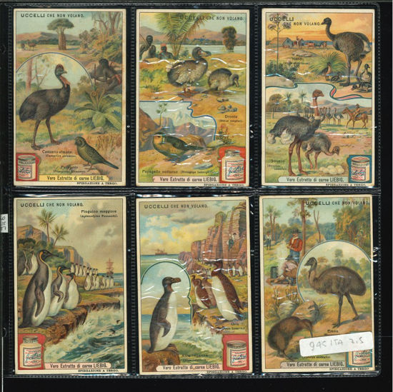Immagine di 946 - UCCELLI CHE NON VOLANO-ITALIANA