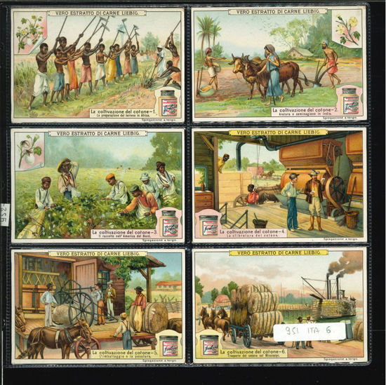 Immagine di 952 - LA COLTIVAZIONE DEL COTONE-ITALIANA