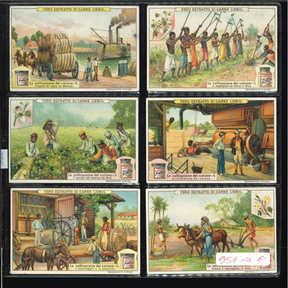 Immagine di 952 - LA COLTIVAZIONE DEL COTONE-ITALIANA