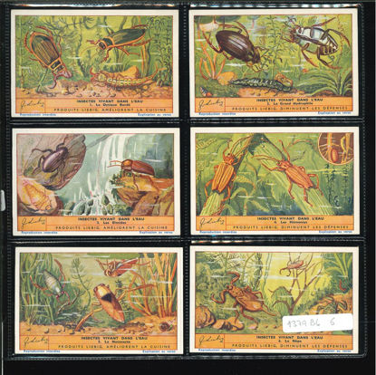 Immagine di 1357 - INSETTI CHE VIVONO NELL'ACQUA --BELGA