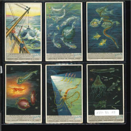 Immagine di 1360 - 900 METRI SOTTO IL MARE --BELGA